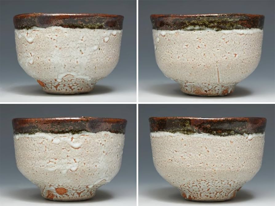 Amazon.co.jp: 木村盛伸 造 梅華皮鉄彩 茶碗 共箱 共布 しおり